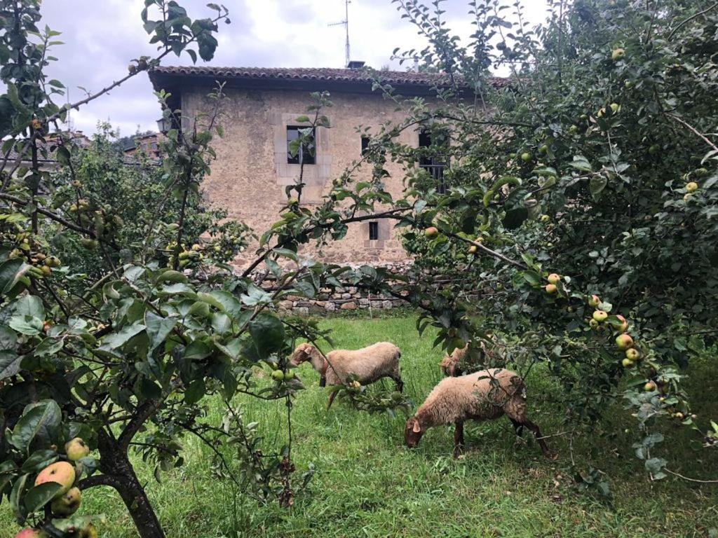 La Casona Del Xerron Villa El Condado Bagian luar foto